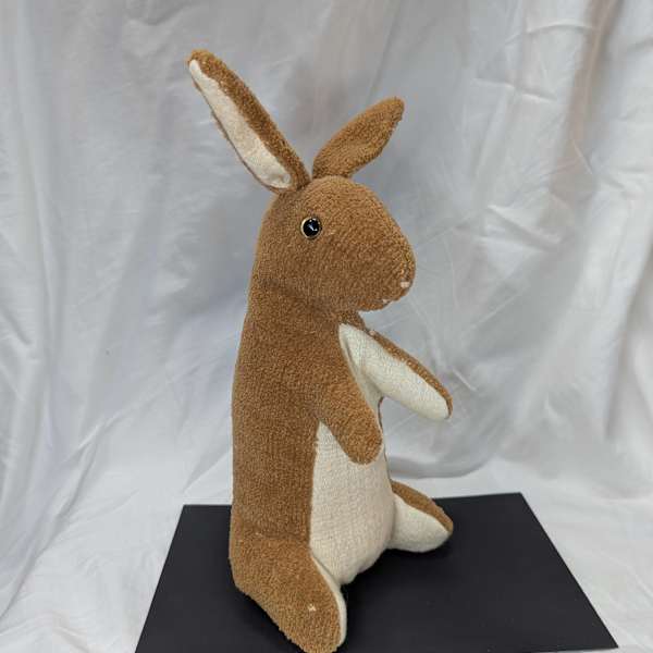 Velveteen Rabbit by Katherine Manfre, Image 1.