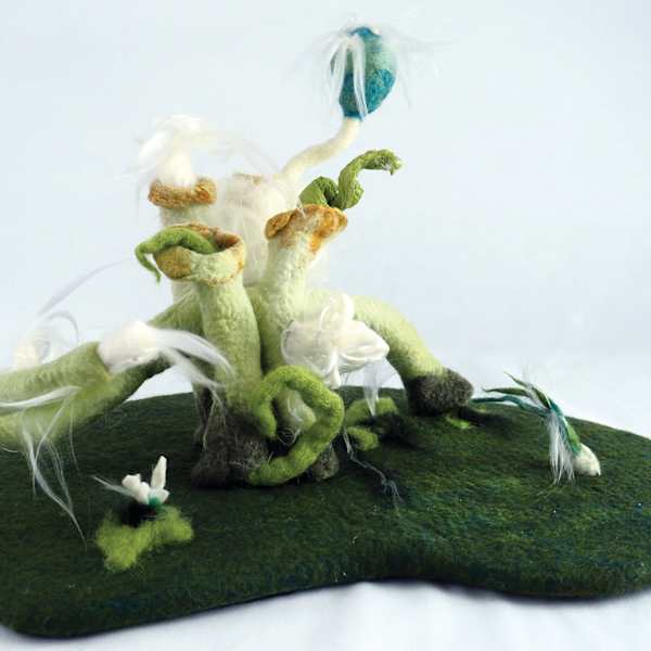 What’s Happening to the Sea Creatures? by Jennifer Angelo, Image 1.