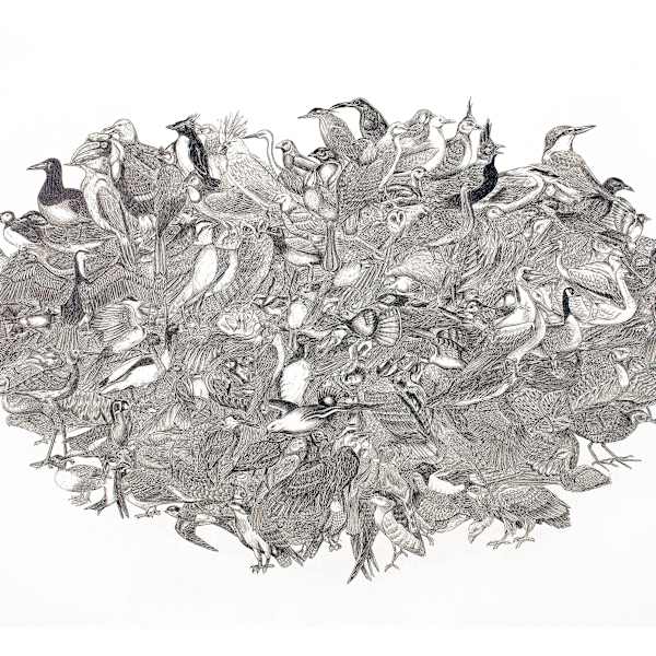 Birds of a Feather by Liz Waterhouse, Image 1.