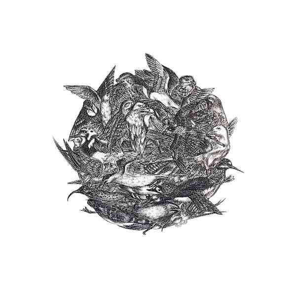 Ball of Birds II by Liz Waterhouse, Image 1.