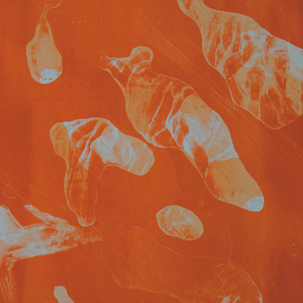 Dunes by Courtney Dore, Image 1.