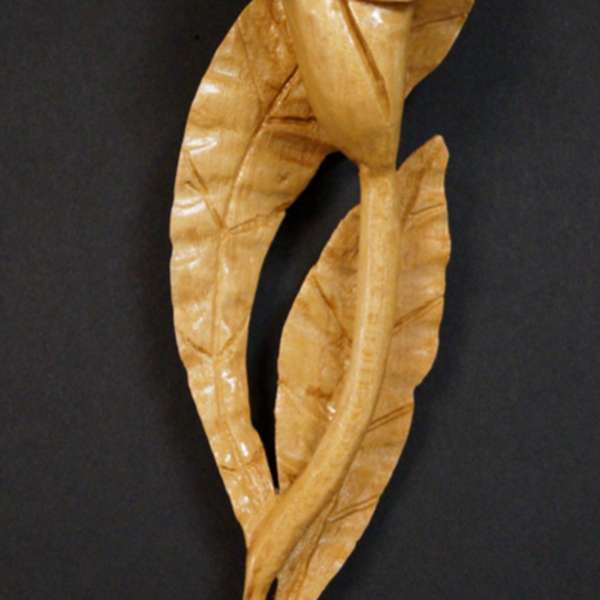 Lily by Dwayne Glenn, Image 1.