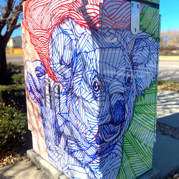 Koala by Daniel Crosier, Image 1.