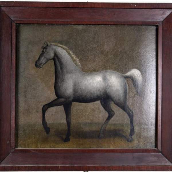 William T. Merrifield's Horse by Robert  Peckam , Image 1.