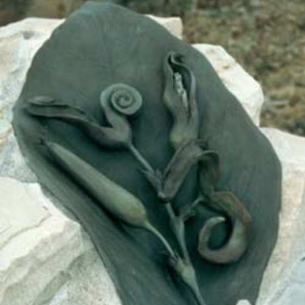 Details of Nature by Robert Tully, Image 1.