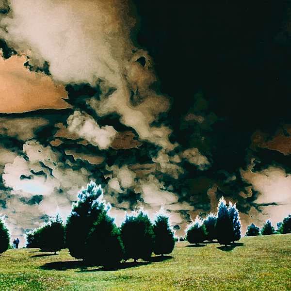 After the Storm by Faye E. Hadley, Image 1.