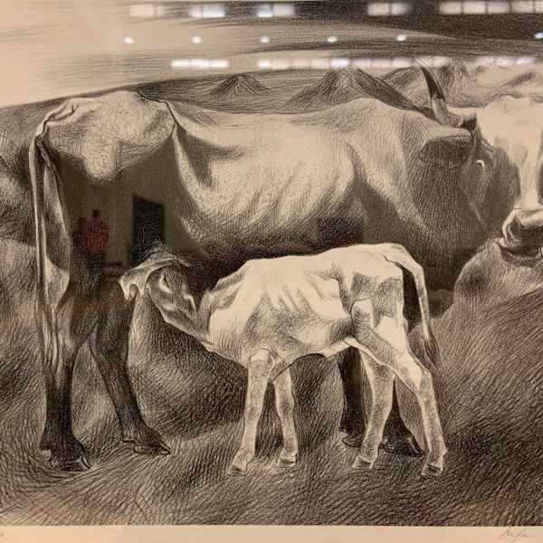 Cow and Calf by Stefan Hirsch, Image 1.