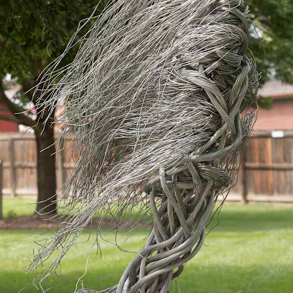 Windswept by Barry Ferich, Image 6.