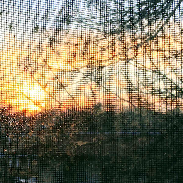 Northglenn High School Photo Project. What makes community? by Asbin Ghimire, Grade 10, Image 1.