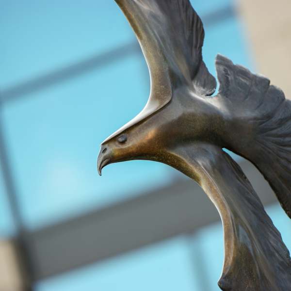 Wings of Freedom by Dimitry Domani Spiridon, Image 3.