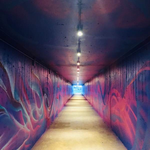 Northglenn Tunnel Mural Project by Chad Bolsinger, Image 10.