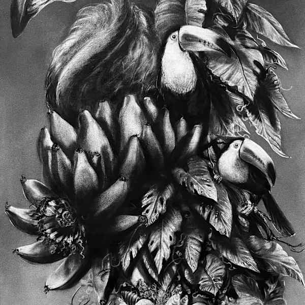Carmen Tropical by Gonzalo Fuenmayor, Image 1.