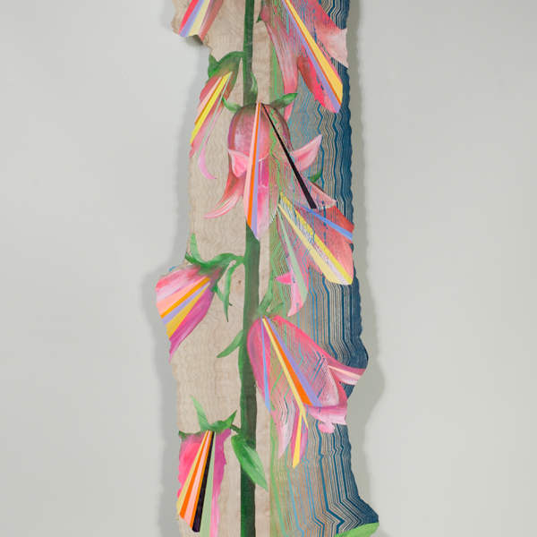 Found in Pine Forests by Jason Middlebrook, Image 1.