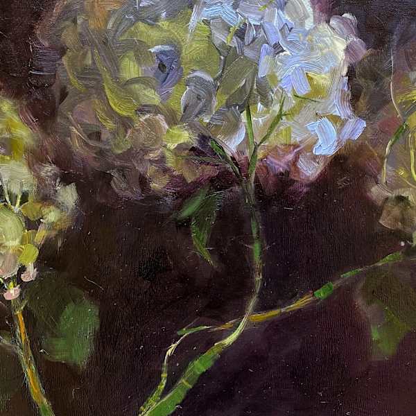 Hydrangeas by Deana Evstefeeva, Image 1.