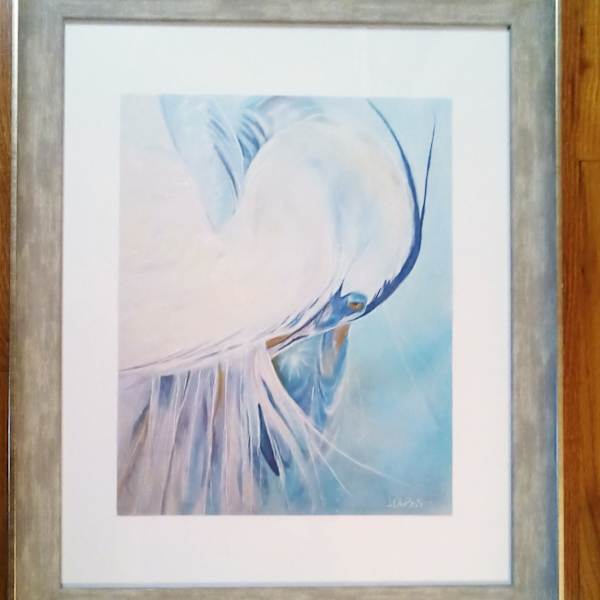 Heron Preening ( Framed Print) by Ann DuBois, Image 1.