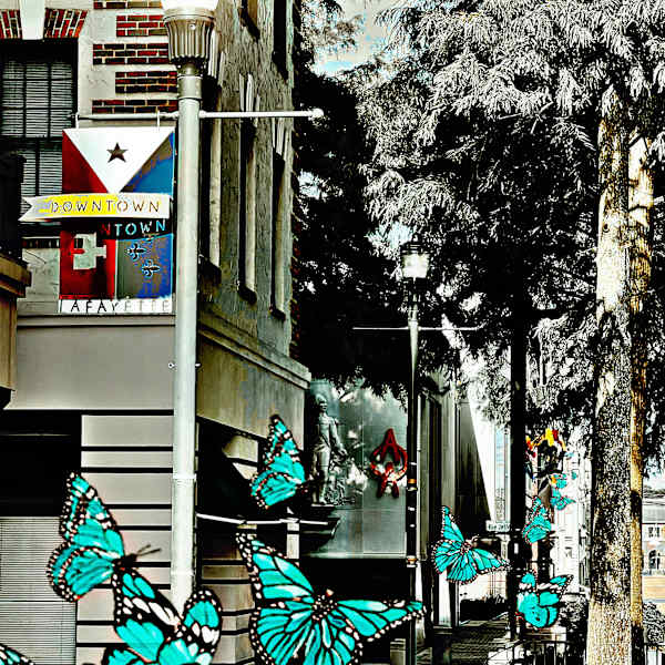 Butterfly Parade by Kelly Nelson, Image 2.