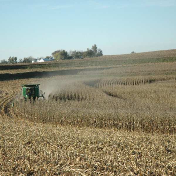 Corn Harvesting - Combine with Farm in Background by Carol Abbott, Image 1.