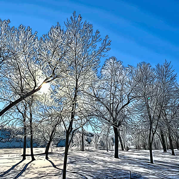 White Winter 1/2019 by Kathy Kelter, Image 2.