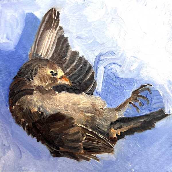 Repose by Cheryl Adams, Image 4.