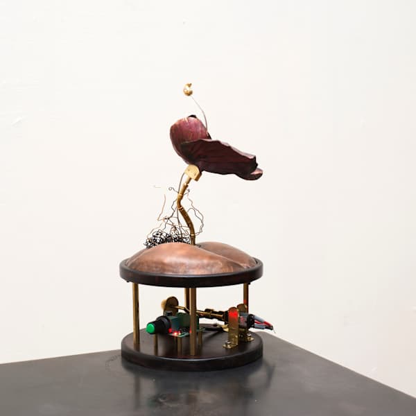 豆豆 The Bits by 邢力云 HSING Li Yun, Image 4.