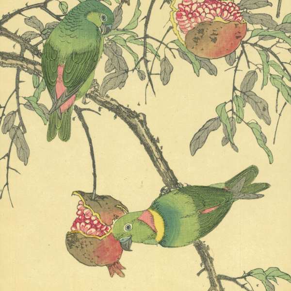 石榴和藍冠懸鸚鵡 Pomegranate and Blue-crowned Hanging Parrot by 今尾景年 Imao Keinen, Image 2.