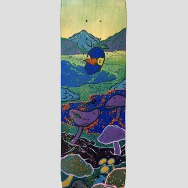 鸚鵡人滑板 Parrot Sun by 張騰遠 CHANG Teng-Yuan, Image 1.