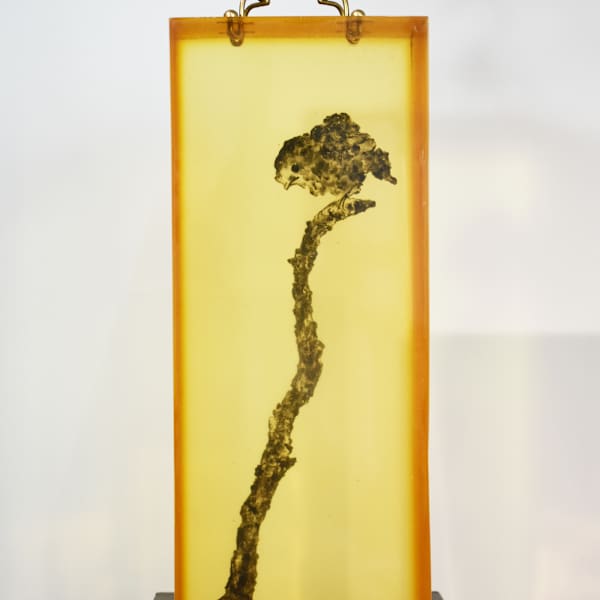 禪心之籠 No. 1 Cage of Zen No. 1 by 南超 NAN Chao, Image 1.
