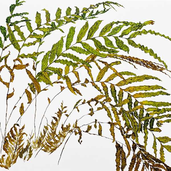 植物習作 X Study for Plants X by 張善學 CHANG San Hsueh, Image 2.