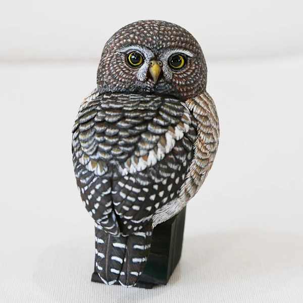 小貓頭鷹 Little Owl by 門永哲郎 TETUROU Kadonaga, Image 2.