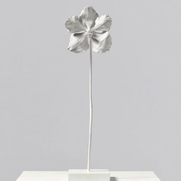 冬季的世界 Winter World by 馬克‧昆恩 Marc Quinn, Image 2.