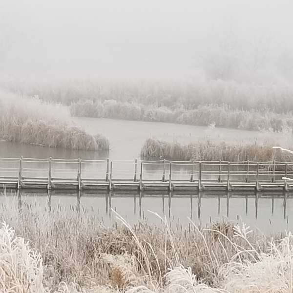 Cold Winter's Day by Kelly Reinhardt, Image 1.