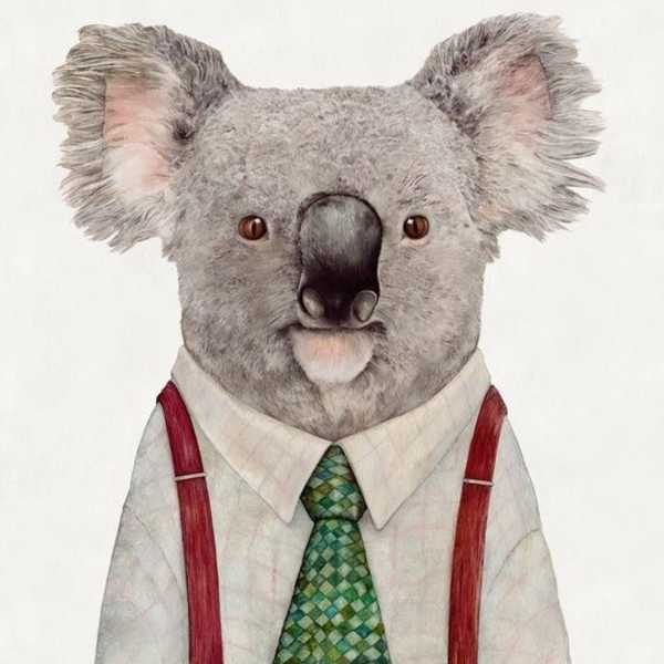 Koala by Animal Crew, Image 1.