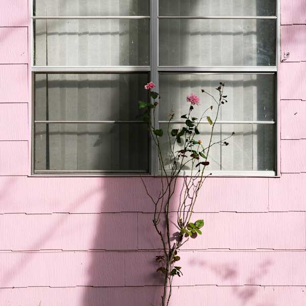 Willingness by Heather Canterbury Marks, Image 1.