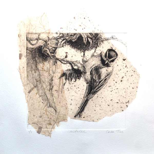 Chickadee 1/1 by Carol Till, Image 1.