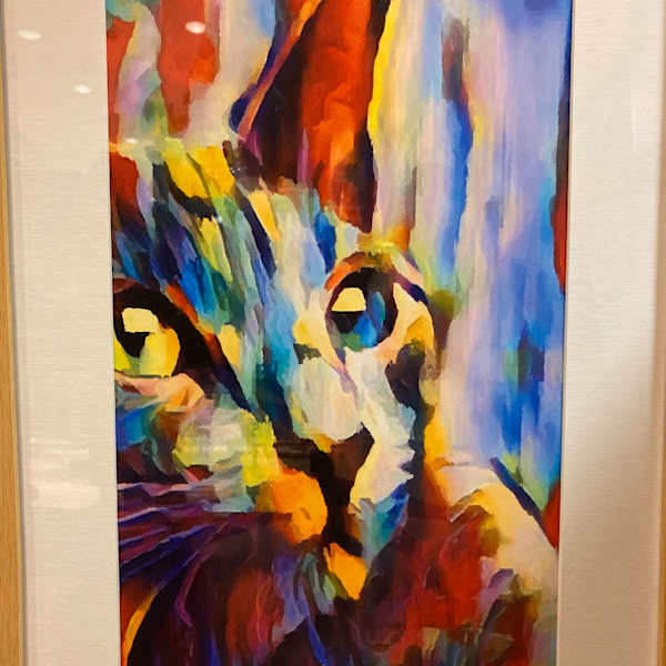 Cat by Chris Bulter, Image 1.