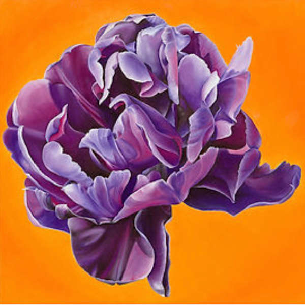 German Tulip by Katie Leonard, Image 8.