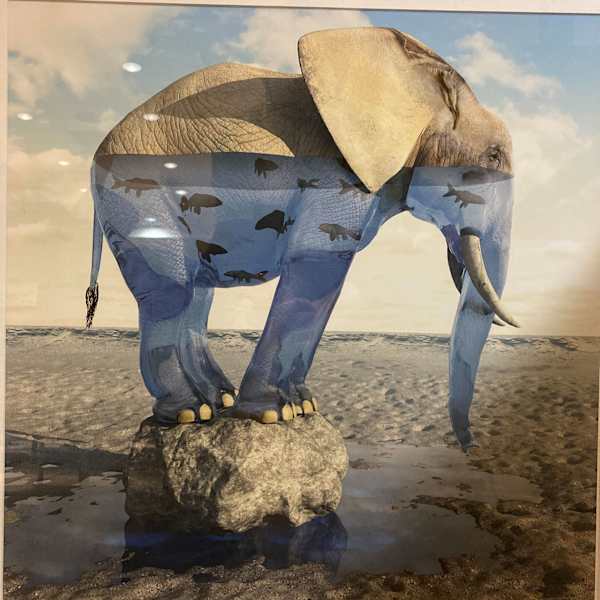 Drinking problem by Cynthia Decker, Image 1.