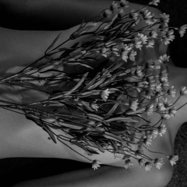 Daisies by Amelia Fast, Image 12.