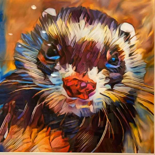 Ferret by Chris Bulter, Image 1.