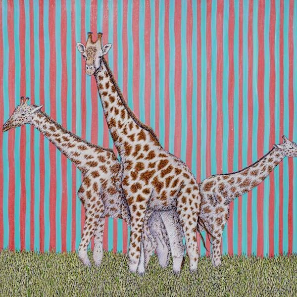 Giraffes by Mark Stokesbury, Image 1.