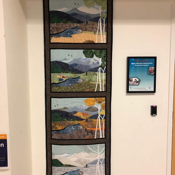 Rocky Mountain National Park Grows Aspens by Erin and Bev, Image 6.