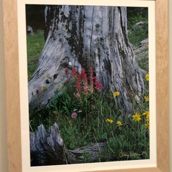 Unknown by Alan Lipkin, MD, Image 3.