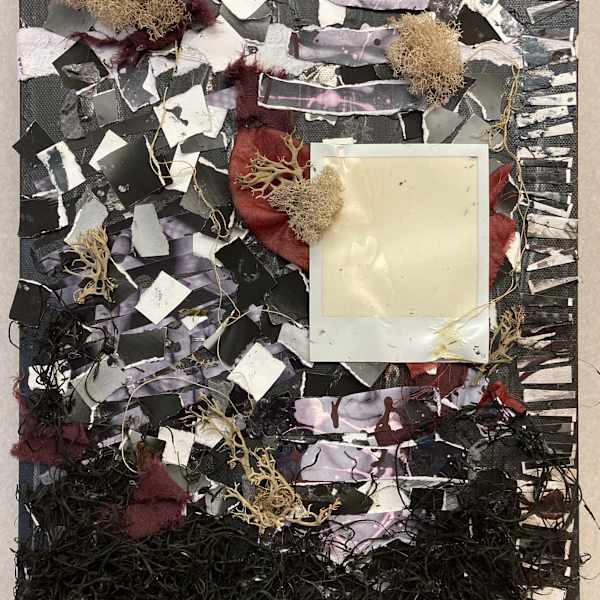 Dismissive by Rachel Johnson, Image 1.