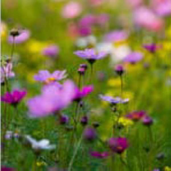 Untitled by Stock Photo, Image 1.