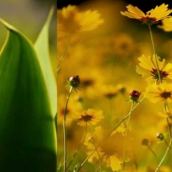 Untitled by Lori Prenner, Image 1.
