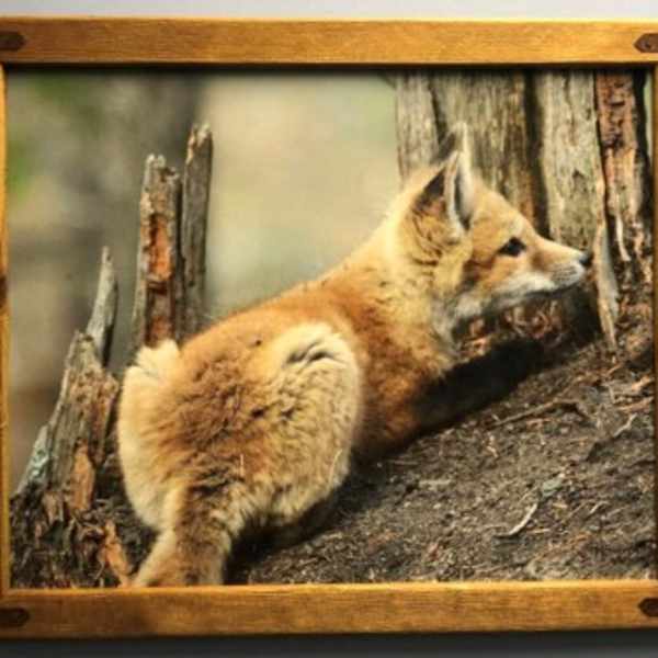 Ambush by Melony Smith, Image 1.