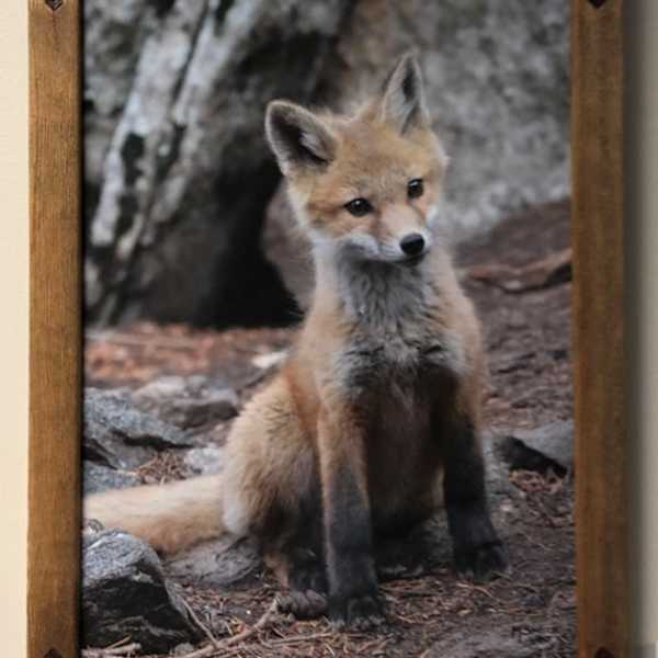 Ambush Alert by Melony Smith, Image 1.