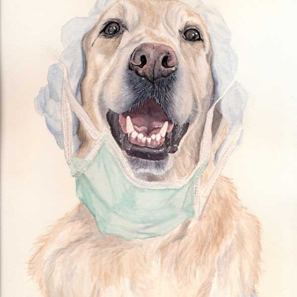Dogtor Ralph by Katie Ganser, Image 13.