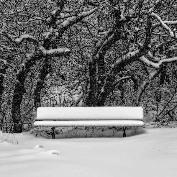 Peace and Quite by John List, Image 1.