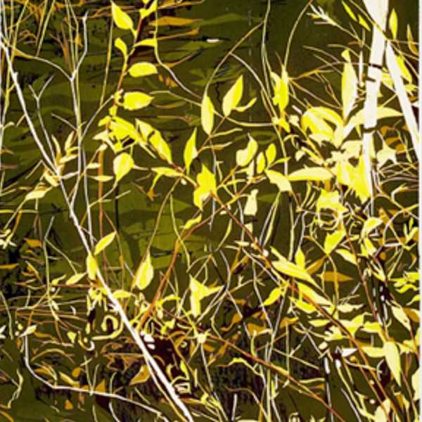 Emergence by Jean Gumpper, Image 1.
